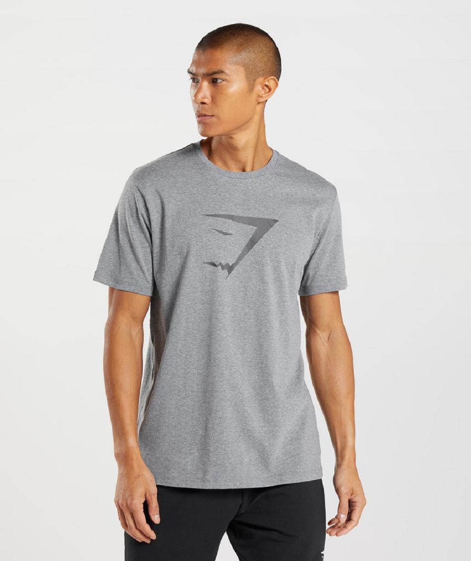 Gymshark Sharkhead Infill Muške T Shirts Sive | HR 2481MQZ